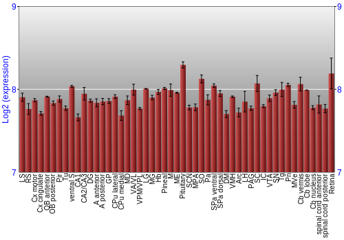 Expression graph