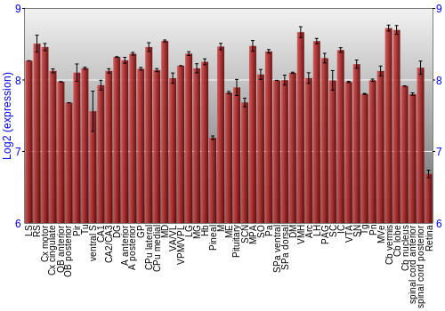 Expression graph