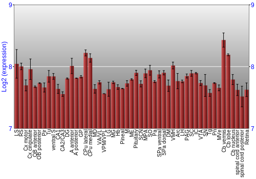 Expression graph