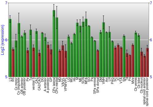 Multi-state expression graph