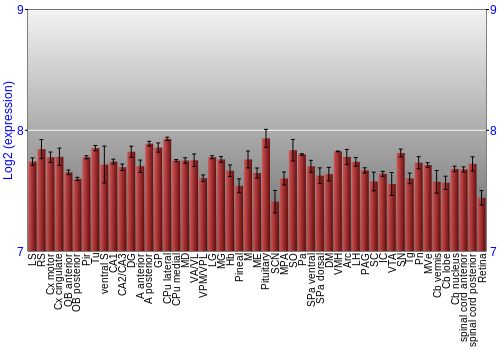 Expression graph