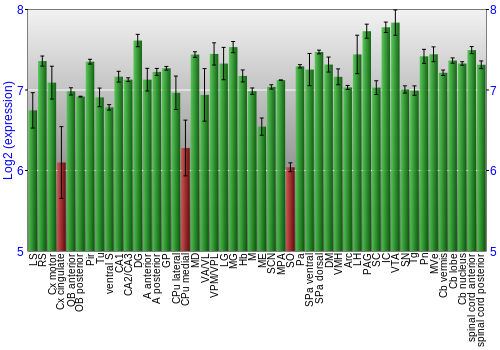 Multi-state expression graph