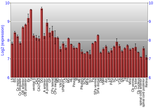 Expression graph