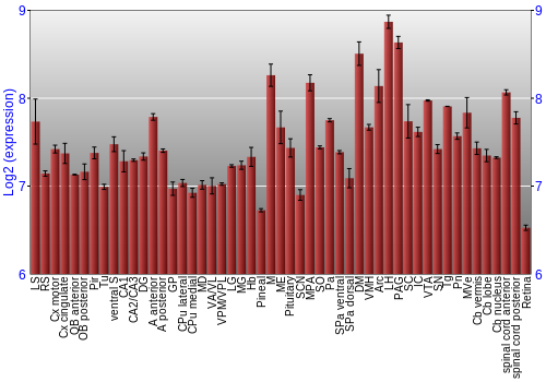 Expression graph