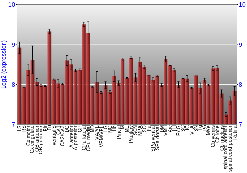 Expression graph
