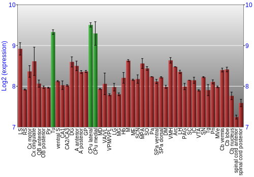 Multi-state expression graph