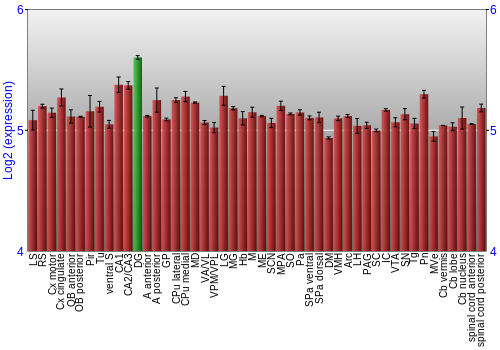 Multi-state expression graph