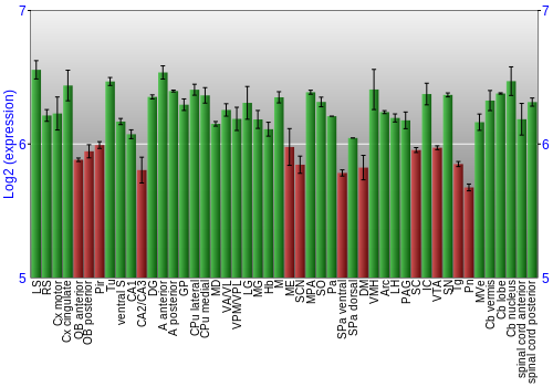Multi-state expression graph