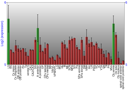 Multi-state expression graph