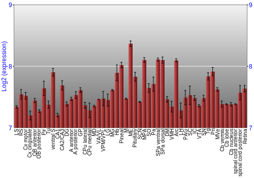Expression graph