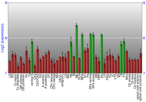 Multi-state expression graph