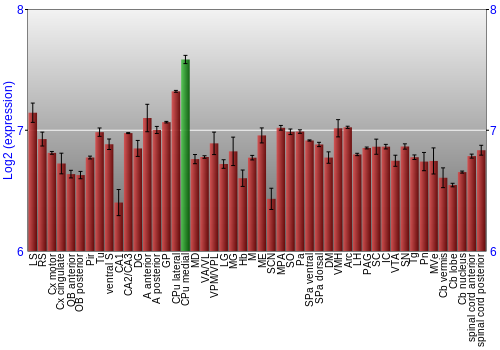 Multi-state expression graph