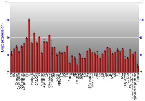 Expression graph