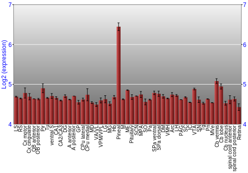 Expression graph