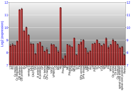 Expression graph