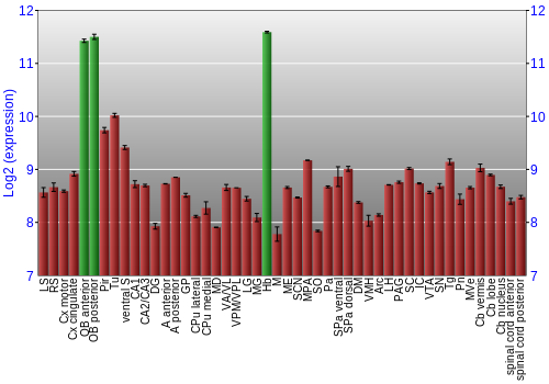 Multi-state expression graph