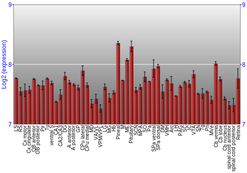 Expression graph