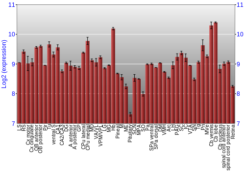 Expression graph
