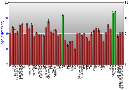 Multi-state expression graph