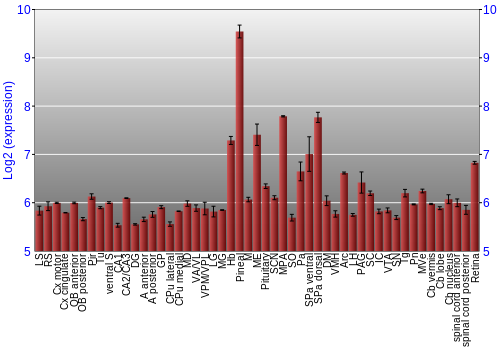 Expression graph