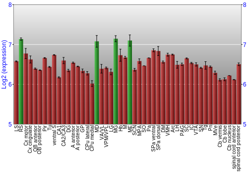 Multi-state expression graph