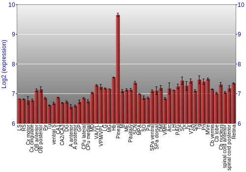 Expression graph