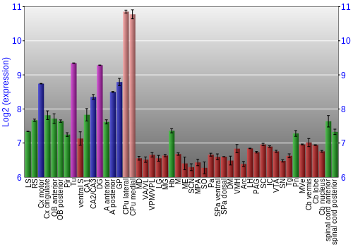 Multi-state expression graph