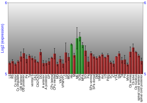 Multi-state expression graph