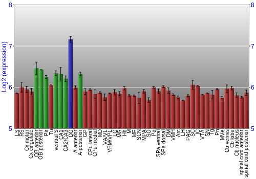 Multi-state expression graph