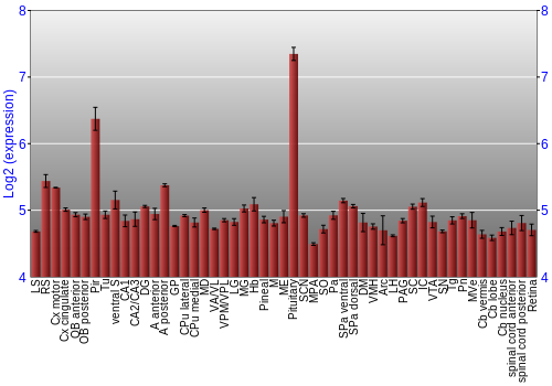 Expression graph