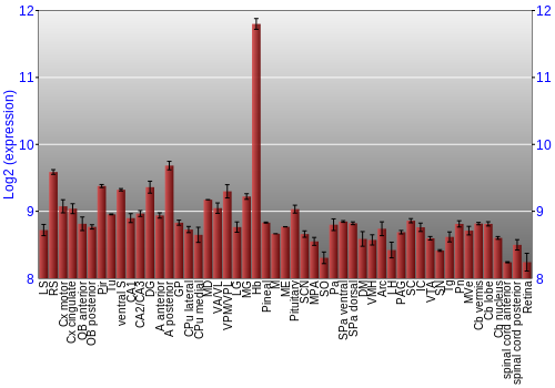 Expression graph
