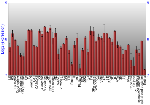 Expression graph
