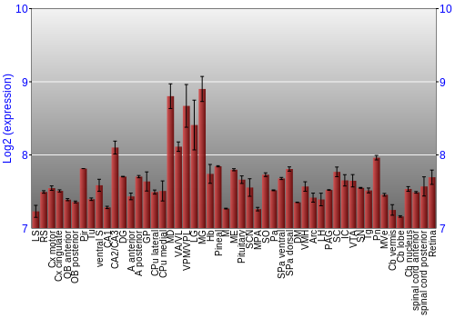 Expression graph