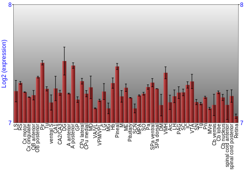 Expression graph