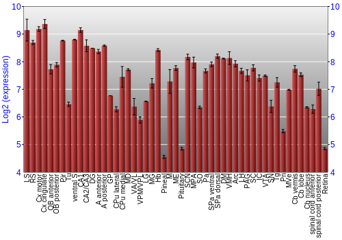 Expression graph