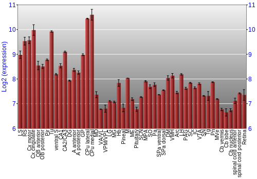 Expression graph