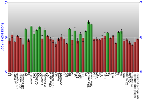 Multi-state expression graph