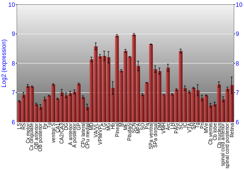 Expression graph