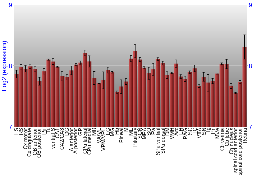 Expression graph