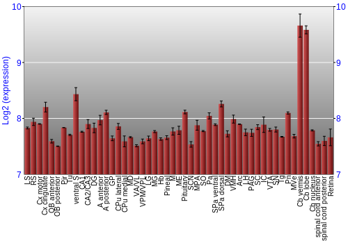 Expression graph