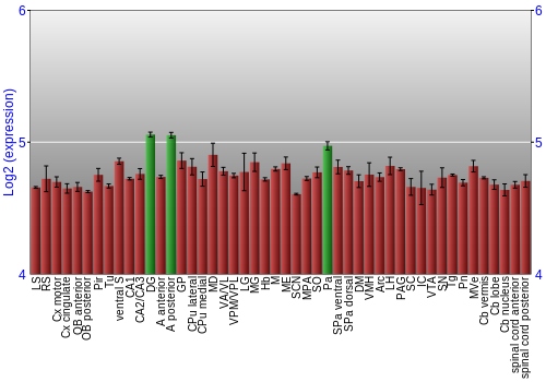Multi-state expression graph