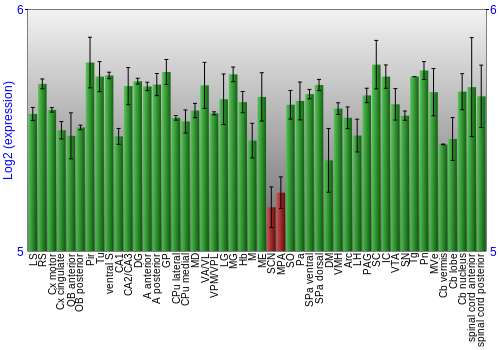 Multi-state expression graph