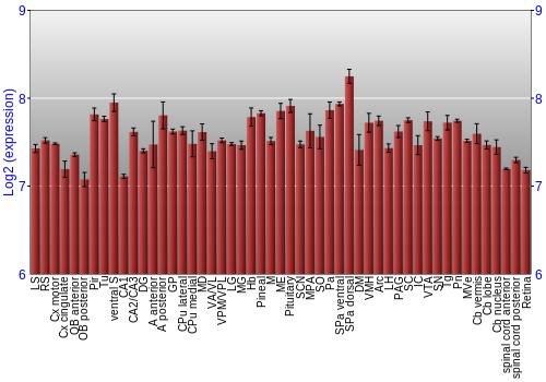 Expression graph