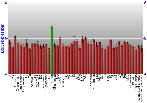 Multi-state expression graph