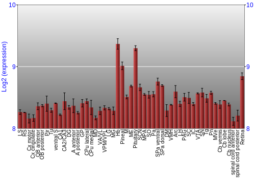 Expression graph