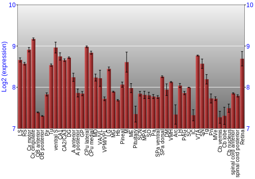 Expression graph