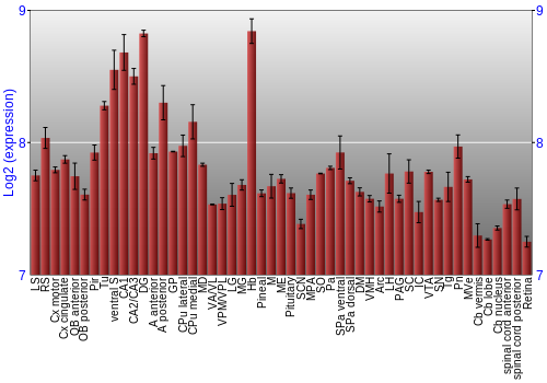 Expression graph