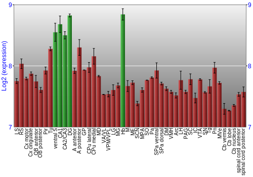 Multi-state expression graph