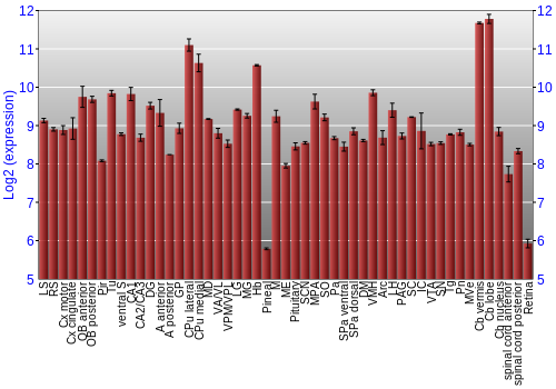 Expression graph