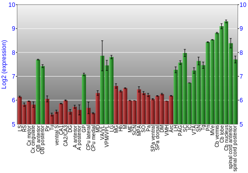 Multi-state expression graph
